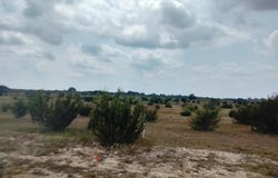 514 Hollow Drive, Lipan, TX 76433