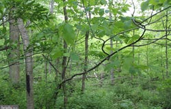 00 BLACK VALLEY ROAD, EVERETT, PA 15537