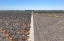3099 Alila Avenue, Pixley, CA 93256