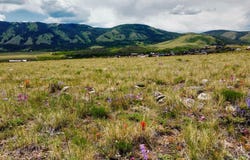 2700 HWY 130, Centennial, WY 82055