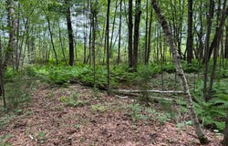 TDB Garden Dr, Siren, WI 54872