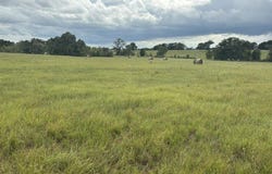 FM 2709, Eustace, TX 75124