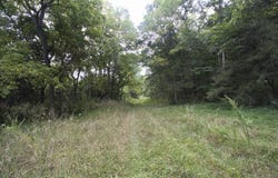 Tract 3b Route 4, Squires, MO 65755