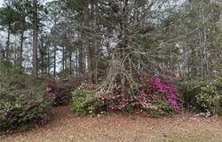 0 Abilene Drive W, Mobile, AL 36695