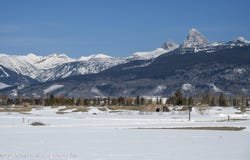 1253 WILD GINGER Court, Driggs, ID 83422