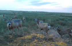 00 County Rd, Lakin, KS 66630