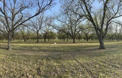 CR 461, De Leon, TX 76444