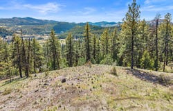 TBD KLONDIKE RD, REPUBLIC, WA 99166
