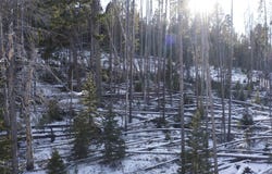 Mountain View Estates lot: 38, Anaconda, MT 59711
