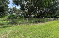 13920 HAYNES RD, DOVER, FL 33527