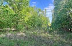 0000 FM 1402, Mount Pleasant, TX 75455