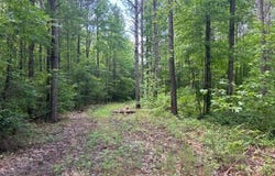 0 Carter Road, Macon, MS 39341