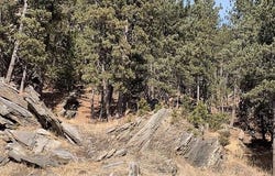 Buckhorn Estates Drive, Custer, SD 57730