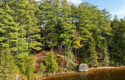 T30 MD Unit 3, Unorganized Washington, ME 04686