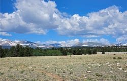 0 TROUT CREEK DRIVE, Fairplay, CO 80440