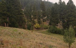 6958 Brock Creek Road, Garrison, MT 59731