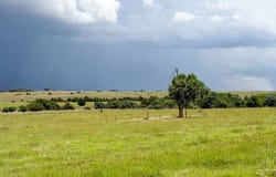 Helena Area, Helena, OK 73741
