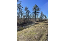 MS-44 lot: 6, Columbia, MS 39429