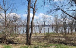 000 Red Oak Road, Harpers Ferry, IA 52146