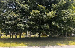 714 Foxfire Road, Elizabethtown, KY 42701