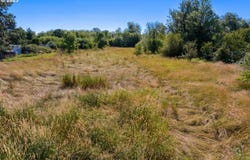 Territorial HWY, Elmira, OR 97437