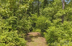 000 Silverglen Way, Hendersonville, NC 28792