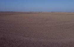 000 Highway 25, Winona, KS 67764