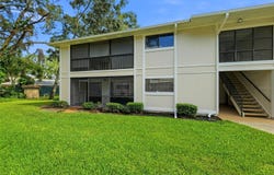 6014 LAKETREE Lane, TEMPLE TERRACE, FL 33617