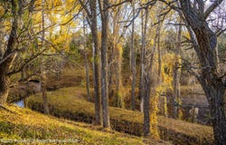 1634 Prince Creek Road, Carbondale, CO 81623