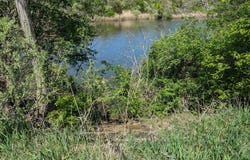 Dor1701g Hungry Hollow Road, Danville, IL 61834