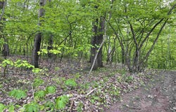 587 CROSS COUNTRY Court, HOBART, WI 54155-0000