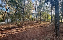 892 LAKE SHORE Terrace, Interlachen, FL 32148