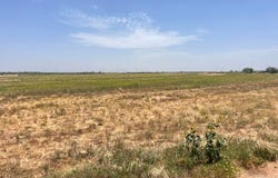 381 Hwy 180, Snyder, TX 79549
