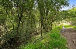 305 Resaca Avenue, San Geronimo, CA 94133