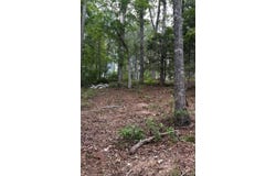 SHORESIDE DR lot: 54, Double Springs, AL 35553