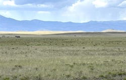 00 Acoolatha Road, Hartsel, CO 80449