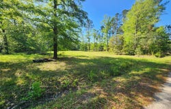 215 Frog Hollow Street, Varnville, SC 29944