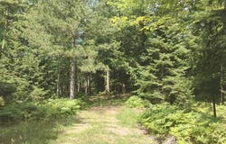 8765 BO DI LAC DR N, Minocqua, WI 54548