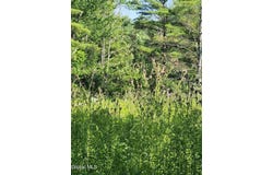 L30 Skyline Drive, Delanson, NY 12053