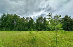 Lot 11 Block 1 Opah's Landing, Aitkin, MN 56431