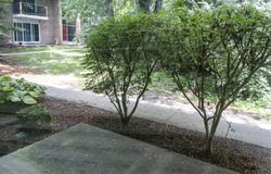 1245 Island Drive, Ann Arbor, MI 48105