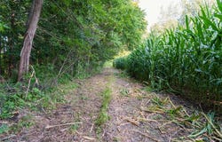 0 420th Avenue, Menomonie, WI 54751