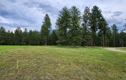 3341 Middle Road, Columbia Falls, MT 59912