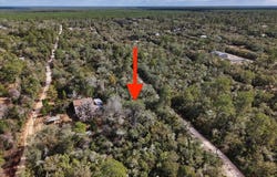 NE 233RD Lane, FORT MC COY, FL 32134