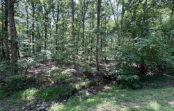 00 Castle Arms Place, Fairfield Bay, AR 72088