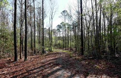 0 Evergreen Pass, Little Mountain, SC 29075