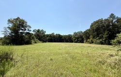 Louella Road, Mc Intosh, AL 36553