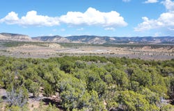 TBD County Road 143, Meeker, CO 81641