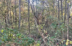 529 FOXFIRE DRIVE lot: 8, GARDENDALE, AL 35071