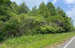 3856 Jericho Road, Stevensville, MI 49127